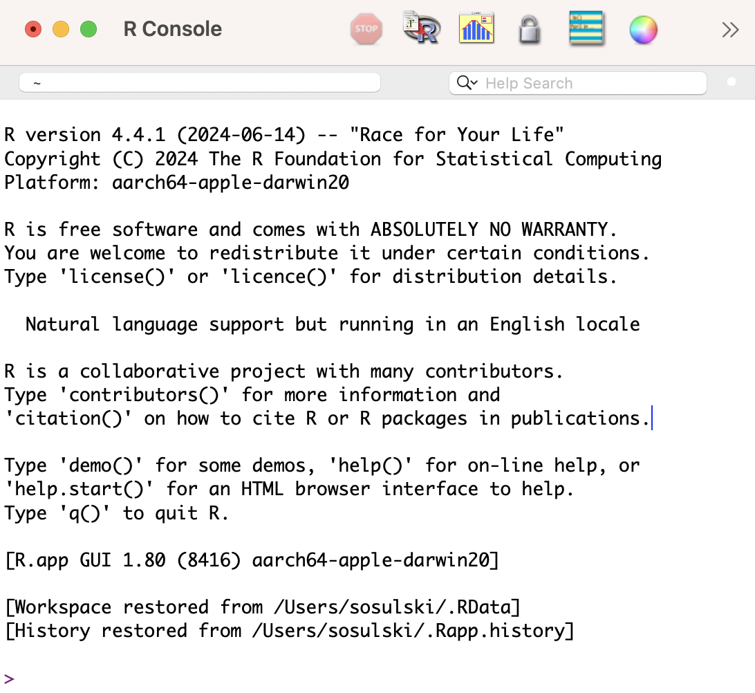R console interface