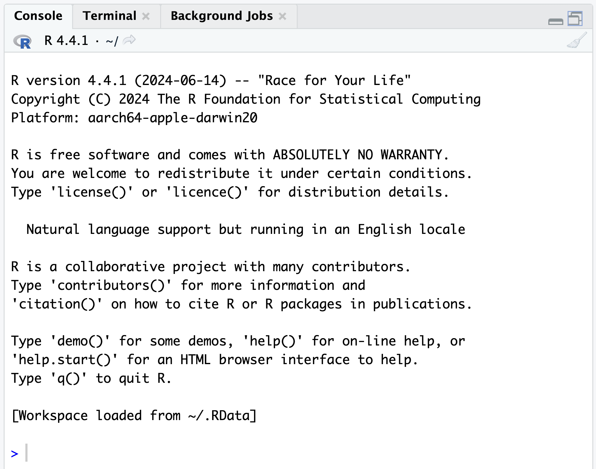 Console pane in RStudio