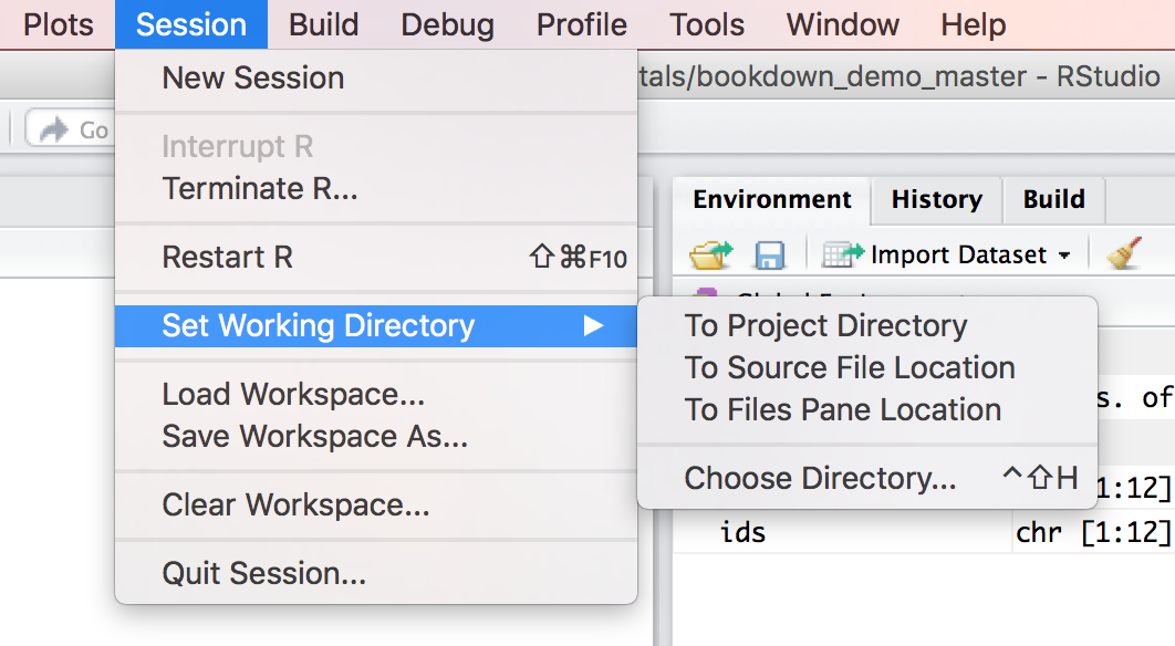 The Set Working Directory menu in RStudio.