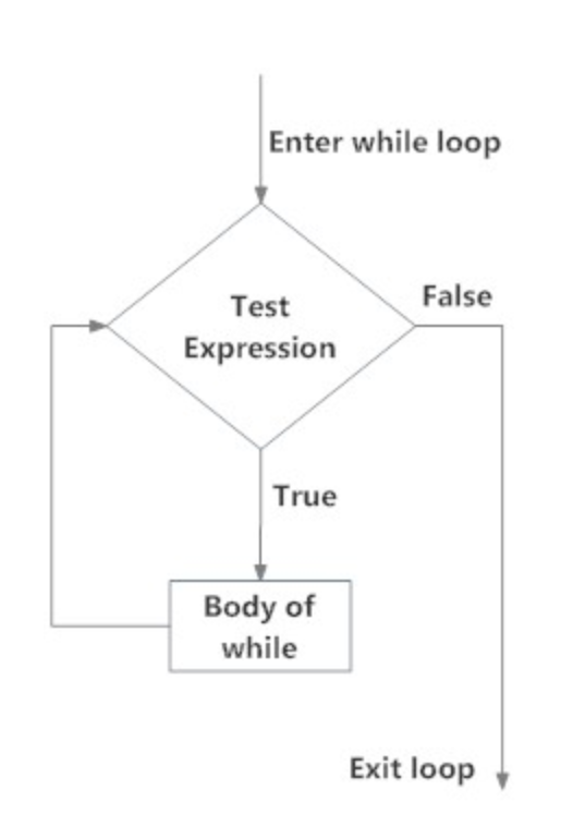 Structure of a while loop